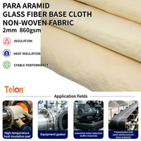Tissu non tissé ignifuge 100% Para Aramid, matériau en feutre de qualité supérieure pour les applications de protection contre l'incendie