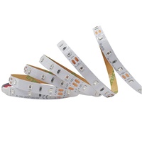 1800K Bernstein-Orange 12V LED-Streifenlicht SMD 2835 IP65 24V 3528 5050 Gelb Bernstein Weiß LED-Streifenlichter