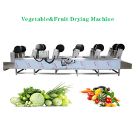 Capaciteit 800kg/uur SUS304 Automatische Frieten Appel Pinda Was- en Droogmachine Fruit Groente Schijven Lucht Droogapparatuur