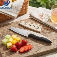 Aangepaste kleur populaire stijl draagbare huishoudelijke voedselveilige 3,5-inch roestvrijstalen fruitmes met veilige mesbeschermer