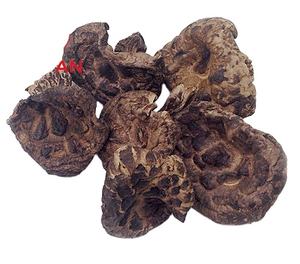 Chine champignon de <span class=keywords><strong>baume</strong></span> <span class=keywords><strong>du</strong></span> <span class=keywords><strong>tigre</strong></span> <span class=keywords><strong>noir</strong></span> séché sauvage de haute qualité - Product Image 3