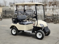 Voiturettes de golf électriques 2 places moins chères prix bon marché voiture buggy à vendre chariot de golf électrique chinois Club quatre fermé
