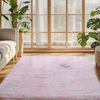 Tapis en peluche doux pour chambre à coucher, salon, tapis antidérapant pour chambre à coucher et salon