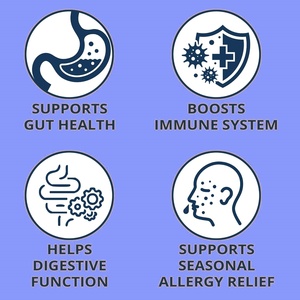 Probióticos para Perros con Prebióticos, Marca Privada OEM ODM, Promueve un Microbioma Intestinal Equilibrado, Refuerza la Salud Inmunológica, Masticables Blandos - Product Image 3