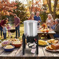 Friteuse d'extérieur à brûleur au propane en aluminium de 30 QT avec panier perforé et couvercle de casserole, 50 000 BTU, pour la cuisson de la dinde et des fruits de mer