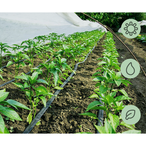 Nastro per Irrigazione a Goccia Pandora PE all'Ingrosso, 16mm Alta Resistenza, Spessore Parete 8mil, Distanza 20cm, 1.38L/H, 0.5Bar, Distributori Globali - Product Image 6