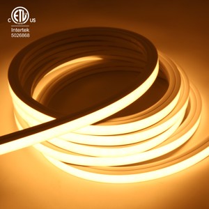 Iluminación LED de Neón para Exteriores RAYMATES <span class=keywords><strong>1212</strong></span> 24V IP67 Longitud de Corte de 50 mm Garantía de 5 Años con Certificación ETL para Publicidad - Product Image 3