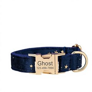 Collar y Correa Personalizados para Perro con Diseño de Estrellas, Hebilla Metálica Grabada, Regalo de Cumpleaños para Cachorro, Envío Gratis - Product Image 1