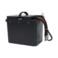 Batterie au lithium portable 24V 55Ah 40Ah pour remplacement de batterie EPT20-15E2L pour chariot élévateur électrique Chinaforklift