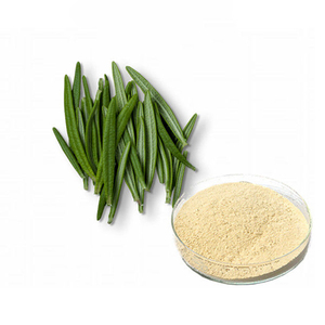 Herstellerlieferung Rosmarin-Extrakt Mehrere Spezifikationen Schnelle Lieferung Unabhängige Prüfung - Product Image 4