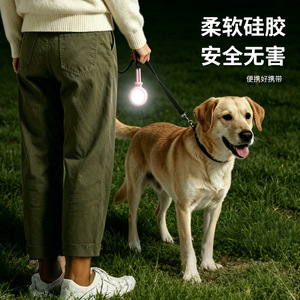 Colgante de silicona con luz LED para mascotas, para perros y gatos, para paseos nocturnos, antipérdida, adorno - Product Image 4