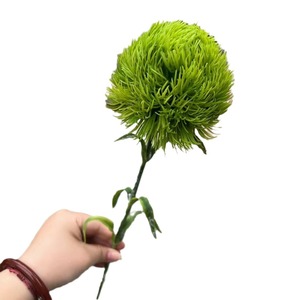 Muro de Flores Artificiales para Recepción de Hotel, Orquídea Amarilla Danzante, Clavel Verde, Seda, 60 cm, Chen's Soft Commercial Beauty - Product Image 5