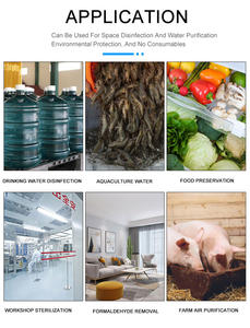 مولد الأوزون الكهربائي للمياه للاستخدام المنزلي من Flygoo 5g من الفولاذ المقاوم للصدأ آلة معالجة المياه بالأوزون المحمولة - Product Image 6