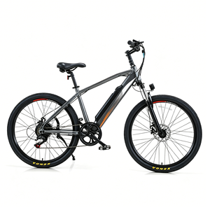 Bicicleta Eléctrica con Neumáticos Anchos, Tres Modos de Conducción, para Caminos Suburbanos y Todoterreno, Venta Especial OEM ODM - Product Image 3