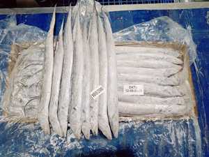 <span class=keywords><strong>Cinta</strong></span> Pescado Congelado De Buena Calidad Y Buen Precio - Product Image 6