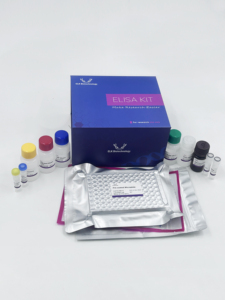 İnsan TMEM173 (<span class=keywords><strong>transmembran</strong></span> <span class=keywords><strong>Protein</strong></span> 173) ELISA seti sadece araştırma kullanımı için - Product Image 3