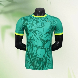 Nouvelle Afrique Sénégal Deux étoiles Blanc Champions Jersey Home <span class=keywords><strong>Maroc</strong></span> Football Jersey Football Uniforme Diy Football Jersey S-4XL - Product Image 2