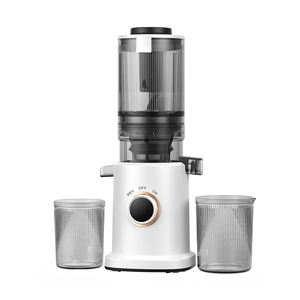 Yeni Tasarım Soğuk Sıkım Meyve Sıkacağı, Yavaş Çiğneyen Ticari Meyve ve Sebze Sıkacağı Makinesi - Product Image 2