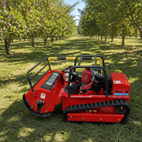 Tondeuse robotisée agricole mini-ferme à chenilles, alimentée au diesel, 800mm 1000mm 1200mm, directement de l'usine