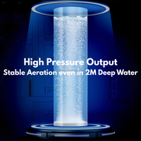 Pompe à air pour aquarium RISSEE série ACO 110V/220V 18W~520W, aérateur pour aquariums, étangs et hydroponie