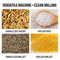 Décortiqueuse et moulin à riz multifonction de qualité professionnelle avec une production de 200 à 500 kg par heure pour ligne de traitement des céréales à domicile