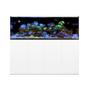 Grand Aquarium en verre Ultra transparent de 6 pieds, 220 gallons, 19mm, avec armoire et puisard en acrylique - Product Image 4