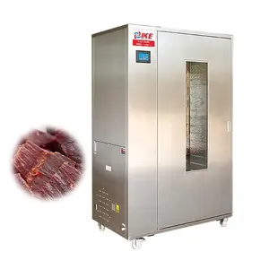 WRH-100G high temperature cabinet dryer for drying jerky meat