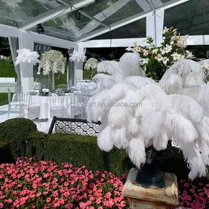 Feather Large White Carnival Festival Ostrich Feather For Wedding Party Decoration