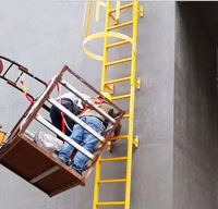 Échelle murale pour matériaux de construction avec cage de sécurité, échelle verticale à cage pour la sécurité sur chantier