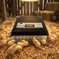 Nueva Incubadora Multifuncional de 64 Huevos con Volteo Automático de Huevos, 220V/110V/12V para Huevos de Pavo, Pollo, Pato y Ganso