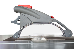 Macchina Squadratrice Taglia Pannelli in Legno con Taglio Lineare, Sollevamento e Inclinazione Automatici, Display Digitale e Carro a Scorrere - Product Image 3