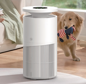 ब्रांड-नए डिजाइन पालतू एयर प्यूरीफायर नकारात्मक आयन साइक सही हीपा फिल्टर घरेलू कस्टम फ़िल्टर कोर बिल्ली कुत्ते को समाप्त करता है - Product Image 1