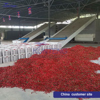 Biomassa Brandstof Verwarming Grootschalige Droger Peper Chili Droger Verse Chili Reiniging Droog-En Slijpapparatuur