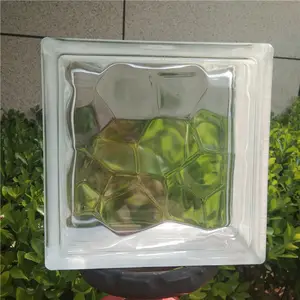 China Suppliers Hot Selling Products Decorative Hollow Glass Block Brick for Windows Building