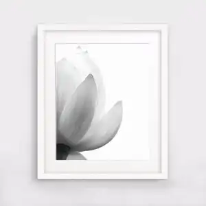 Lotus arte flor moderna parede, arte impressa preta e branca pintura de tela para sala de estar hotel decoração de parede