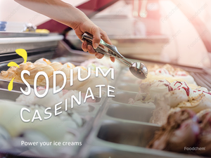 Caseína de Rennet de grado alimenticio - Product Image 5