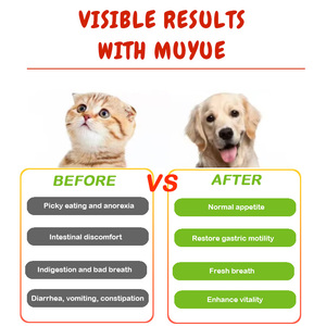 Masticables Suaves para Perros No Mo Poo con Probióticos, Enzimas Digestivas, Disuasor de la Ingesta de Excrementos, Vitaminas, Salud Intestinal, Absorción Rápida, Seguro para Perros - Product Image 4