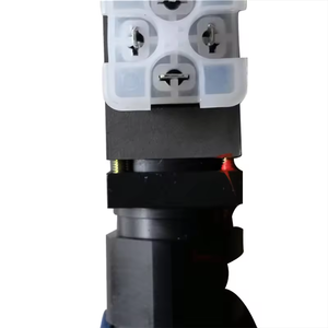 Válvula Hidráulica DBE Serie DBE6, DBE6-2X/315YG24K4M R901304402, Válvula de Alivio Proporcional Operada por Piloto - Product Image 2