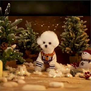 Catalogue de luxe Automne Hiver Mignon Designer Marron Beige Imprimer Chiens Carlin Chaud <span class=keywords><strong>Chien</strong></span> Manteau Veste Pet Hiver Outfit - Product Image 6