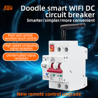 Disjoncteur DC WiFi Tuya Smart 1P 10V-100V, Télécommande Sans Fil avec Alexa, Google Assistant, Yandex Alice pour Maison Intelligente