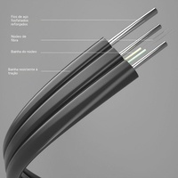 Kabel Drop FTTH Luar Ruangan Pabrik G657A Flat FRP Gambar 1 2 4 Core Kabel Serat Optik LSZH untuk Sistem 5G Anatel Brasil