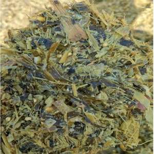 SIDDIQUI TRADERS Ensilaje de Maíz de Alta Calidad para Alimentación de Ganado Vacuno, Ovino, Equino y Porcino, 73% de Humedad, Bolsas/Balas de 750-850 kg, Grado 1 - Product Image 5