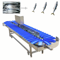 Automatische gewichtssorteer- en sorteermachine voor groenten en fruit, hoge capaciteit 160-280 stuks/min voor fruitverwerking