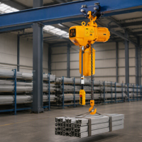 Palans électriques à chaîne industriels pour entrepôts d'usine et applications générales de manutention de charges
