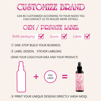 SLAYING LOLLI Spray Teintant pour Dentelle Formule Exclusive Marque Privée 100ml Imperméable Brun Clair Brun Moyen Brun Foncé