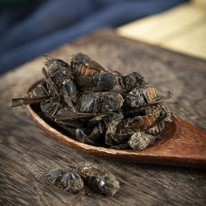 Bullfly Insectos secos a granel Mosca Mosquito Saltamontes Venta al por mayor y Dropshipping Estilo Ad-Dried - Product Image 4