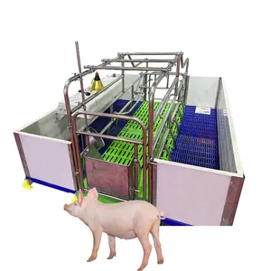 Caja de cerdas de gestación de autocaptura OEM ODM personalizada de acero inoxidable de Venta caliente de China para granja de cerdos, ovejas y vacas