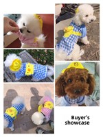 Sac à dos pour chien motif petit canard jaune de dessin animé, vêtements pour animaux de compagnie, fournitures pour chiens et chats, ensembles de vêtements printemps-été-automne, OEM ODM Designer