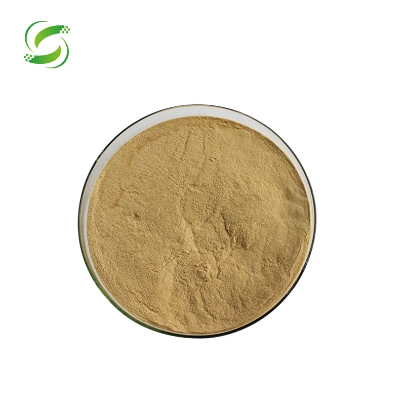 Extracto de Ginseng en polvo, grado alimenticio rojo, HPLC, hoja de extracto Herbal, 10g, XASH-62
