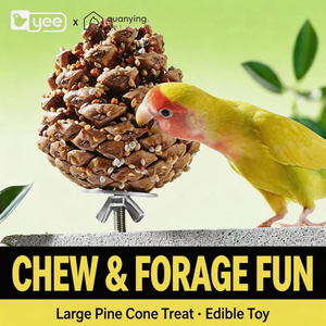 Juguete Masticable Natural de Piña de Pino Quanying para Aves, <span class=keywords><strong>Bola</strong></span> de Forraje Multigrano para Loros y Agapornis, para Afilar el Pico - Product Image 1